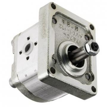 Hydraulic Pump Repair Parts Kit for Rexroth A11V190