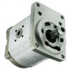 Neu Bosch Rexroth Hydraulikpumpe PGF1-21/5 0RL01VM R900086170 Zahnradpumpe Pumpe