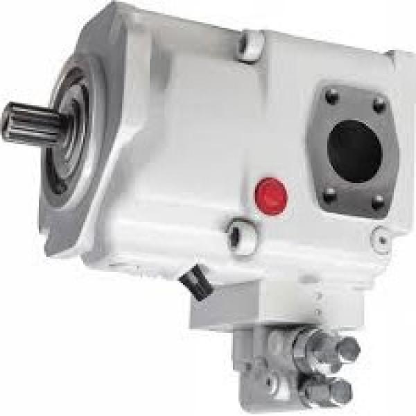 Hydraulic Gear Pump Group 2 4 Bolt EU Flange Taper Shaft CC BSP Motor Port Oil #1 image