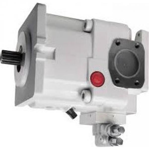 Flowfit Lever Operated Transfer Pump #1 image