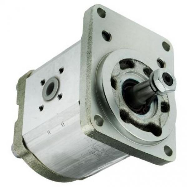 Hydraulic Pump Rexroth PGF1-21/4,1RN01VM #1 image