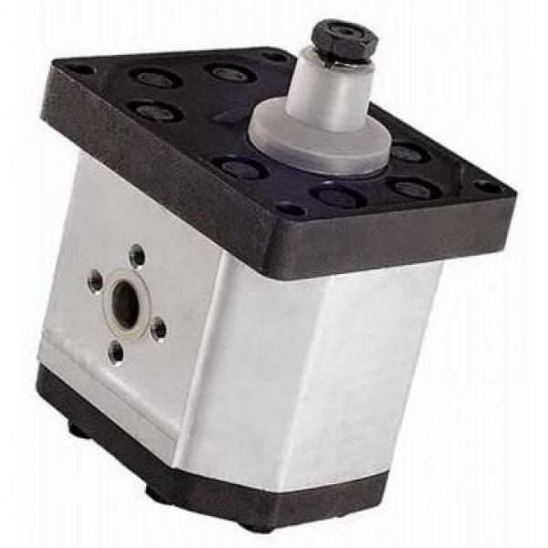 Buna Seal Kit to suit Standard Group 2 - 2SPA Galtech Gear Pump #2 image