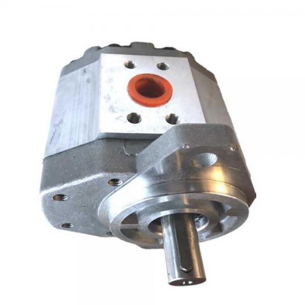 Group 2 E52CX Gear Pump, 8.4cc, Clockwise Rotation with 1/2" BSP Ports #2 image