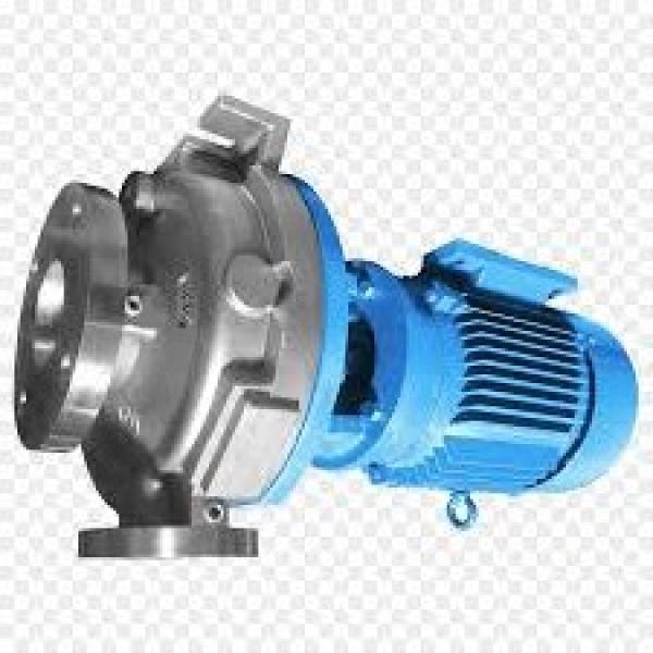 David Brown Hydraulic Gear Pump - PA2210C5B2C #1 image