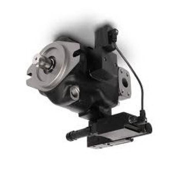 Diener Gear Pump/Micropump® A-Mount Cavity Style Head;316SS body;Peek Gears(020) #1 image