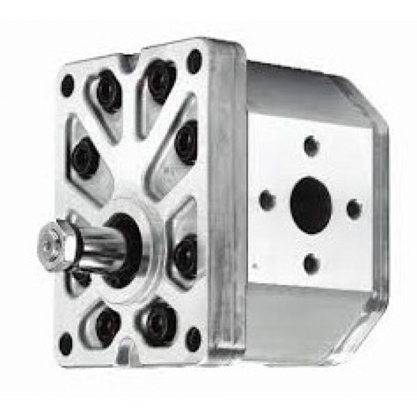 Galtech Hyd Gear Pump Group 1, PCD Flange ports 1 1:8 Taper Shaft, 4 Bolt Flange #2 image