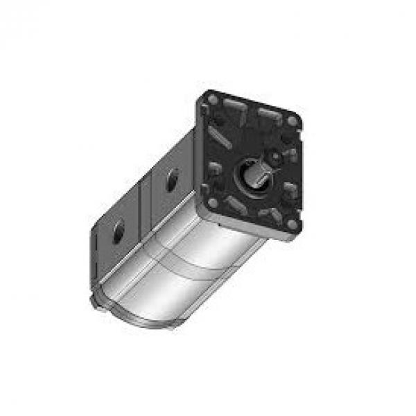 Diener Gear Pump/Micropump® A-Mount Cavity Style Head;316SS body;Peek Gears(026) #2 image