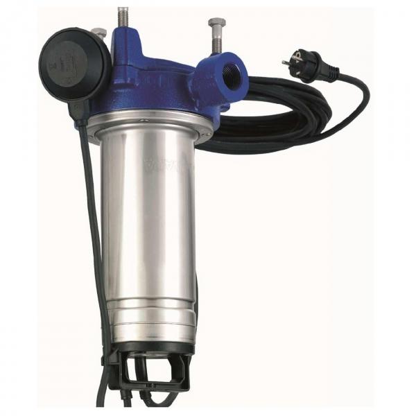 Eletropompa pompa Lowara con presscontrol per autoclave irrigazione Pm16 0.3 Kw #1 image