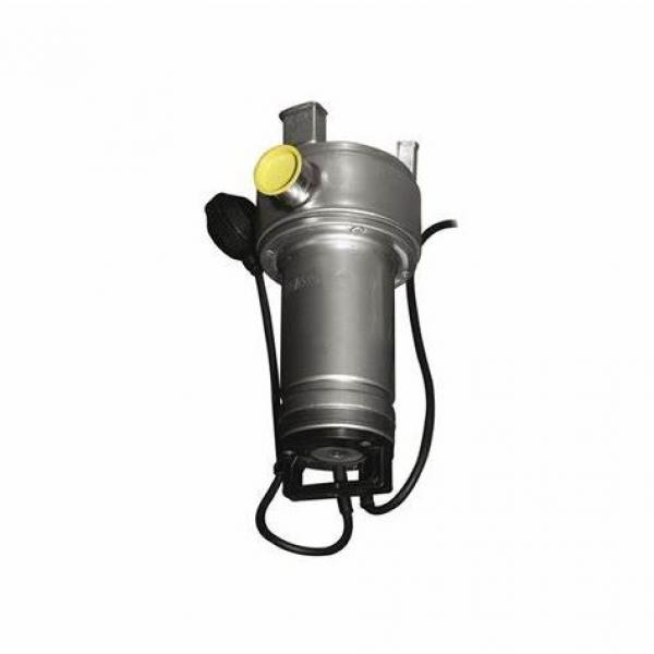 Motore sommerso 4 hp per pompa elettropompa sommersa LOWARA CP4030 Trifase #1 image